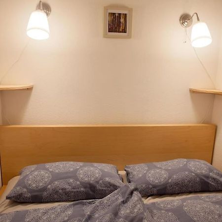 Gemuetliches 2P-Apartment In Ruhiger Lage Dresde Extérieur photo
